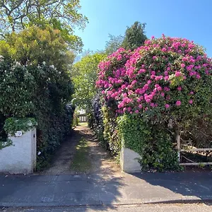 Ingledene A Spacious Family House Holiday home Bournemouth